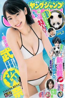 宿命之敌 电视剧